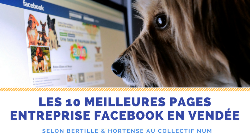Meilleures pages entreprise Facebook en Vendée en 2017